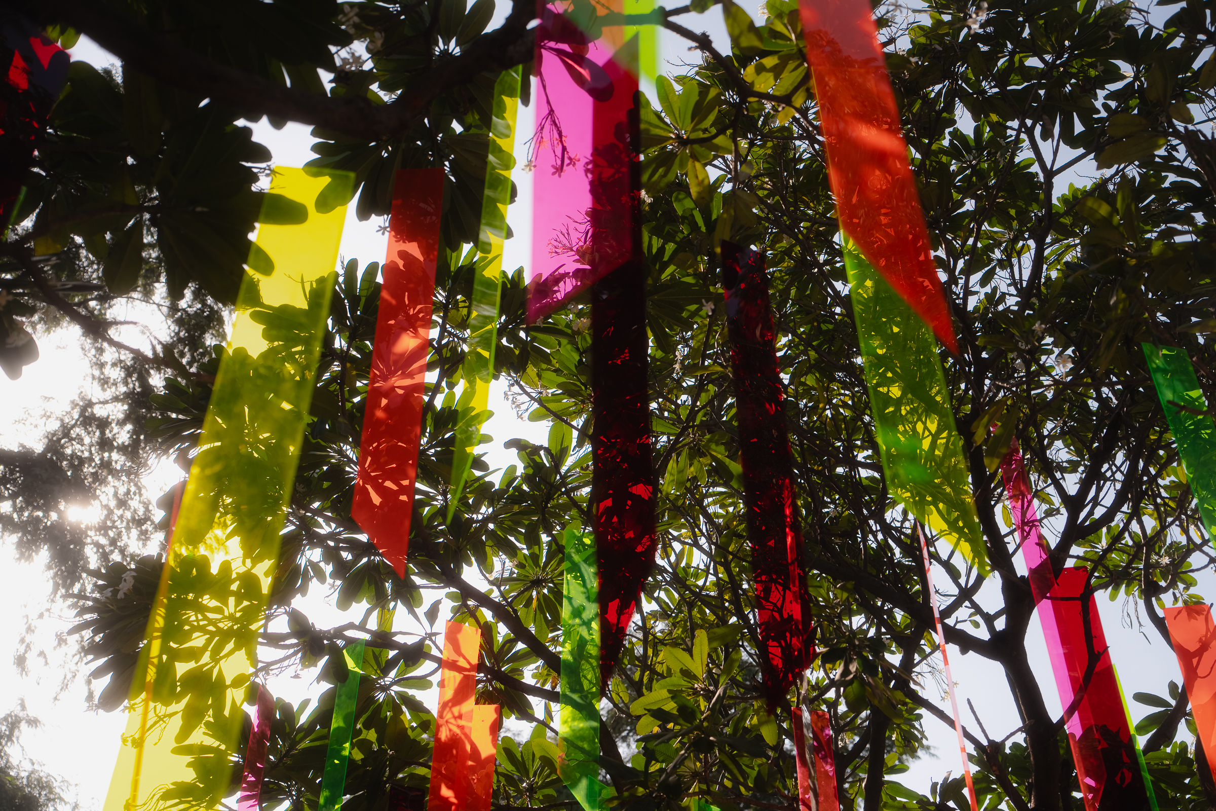 Image from Akhila Anand